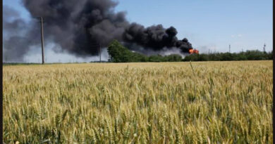 Pese al acuerdo que facilita salida de granos ucranianos, Rusia bombardea y destruye cultivos y silos en zonas agricolas ucranianas