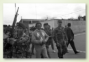 Masivas capturas de terroristas de las Farc que luego quedaron libres por el pacto Farc Santos