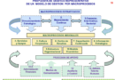 La estructura organizacional y el modelo de gestión por procesos